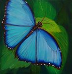 Schmetterling in Blau
